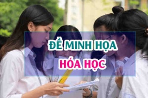 Đề minh hoạ môn Hóa 2024 thi tốt nghiệp THPT